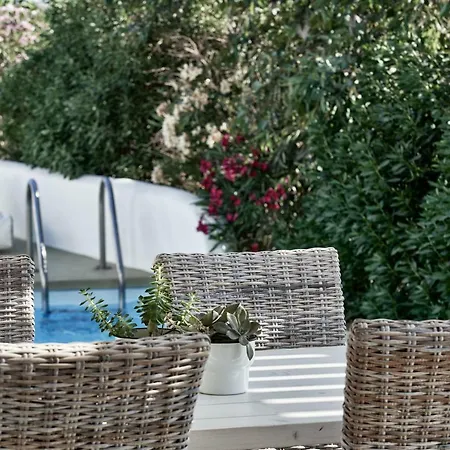 Naxian Utopia Luxury Villa Stelida (Naxos)