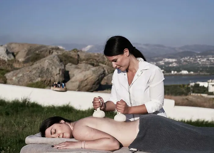 ヴィラ Naxian Utopia Luxury Villas